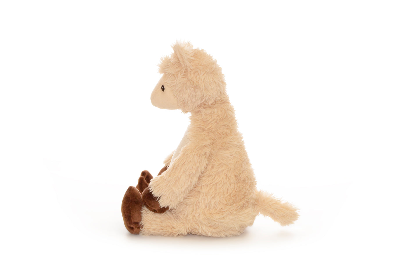 Llama